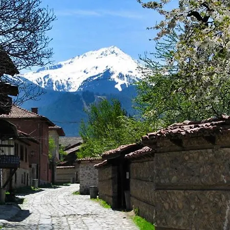 Luxurious Alpine In Posh Winter Διαμέρισμα Μπάνσκο