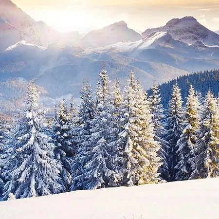 Luxurious Alpine In Posh Winter Διαμέρισμα